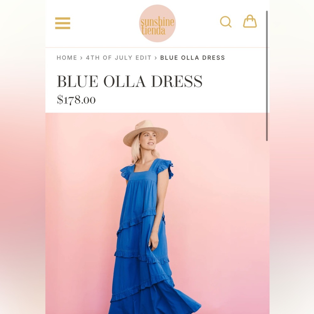Sunshine Tienda NWT Blue Olla Dress